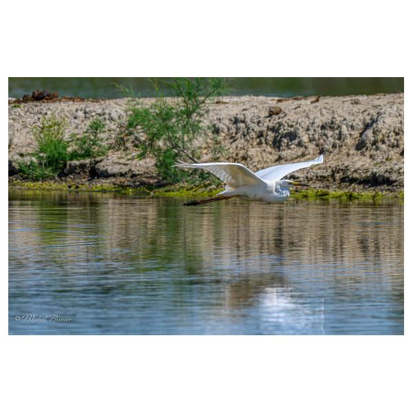 PHOTO84, CLUB, 84 , LUBERON